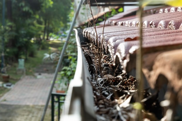 Gutter cleaning for leaves and debris clogging a roof gutter.