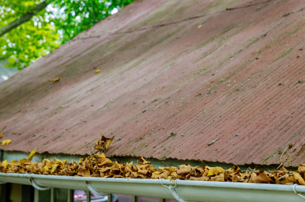 Professional gutter cleaning removing leaves and debris from a residential rain gutter.